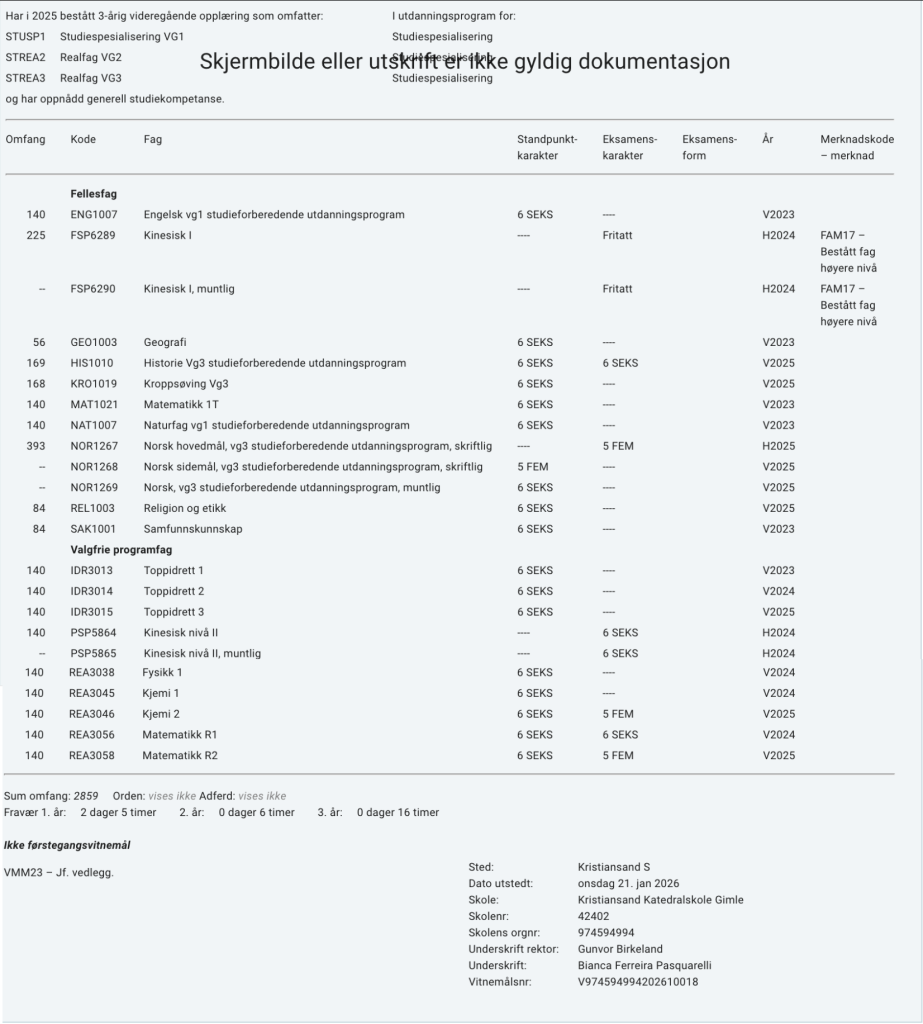 Vitnemål David Belsnes